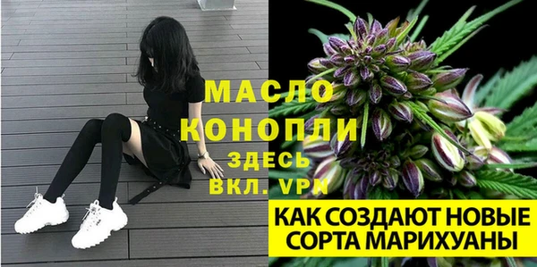твердый Кукмор